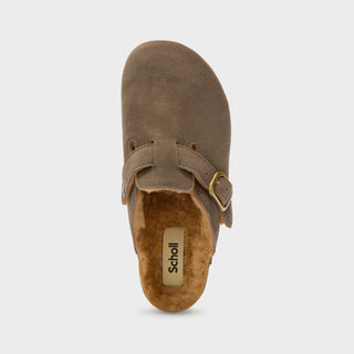 SCHOLL - MULES FAE NEW F GREY