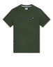 Verde foresta